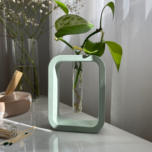 Propagation Vase - Picture 8 of 9